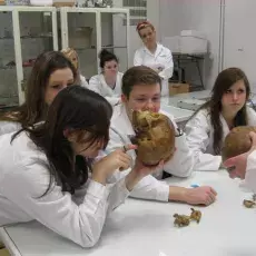 12.12.2011 - dr Dorota Myślińska z Katedry Fizjologii Zwierząt prowadzi zajęcia pt. "Co w głowie piszczy - mózg pod lupą i mikroskopem" dla uczniów IV LO w Gdyni