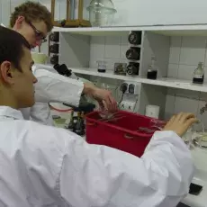 14.12.2011 - dr Beata Furmanek z Katedry Mikrobiologii prowadzi zajęcia pt. "Barwienie i obserwacja preparatów komórek bakteryjnych" dla uczniów II LO w Sopocie