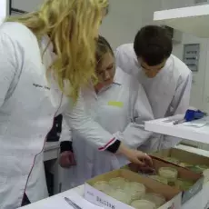 14.12.2011 - dr Beata Furmanek z Katedry Mikrobiologii prowadzi zajęcia pt. "Barwienie i obserwacja preparatów komórek bakteryjnych" dla uczniów II LO w Sopocie