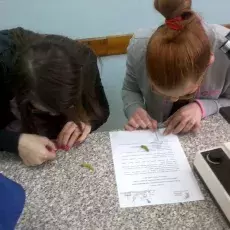 12.03.2012 - mgr Marcelina Zimny i dr Anna Pędziszewska z Katedry Ekologii Roślin prowadzą zajęcia pt. "Znani i mniej znani sprawcy alergii" dla uczniów V LO w Gdyni