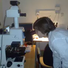 22.03.2012 - mgr Małgorzata Ignatowska z Katedry Cytologii i Embriologii Roślin prowadzi zajęcia pt. "Komórka roślinna w mikroskopie fluorescencyjnym" dla uczniów II LO w Sopocie