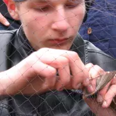 20.04.2012 - mgr Brygida Manikowska-Ślepowrońska ze Stacji Badania Wędrówek Ptaków prowadzi zajęcia pt. "Tam i z powrotem do ziemi przodków czyli migracje ptaków" dla uczniów V LO w Wejherowie