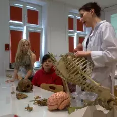 18.05.2012 - dr Dorota Myślińska z Katedry Fizjologii Zwierząt i Człowieka prowadzi zajęcia pt. "Co w głowie piszczy - mózg pod lupą i mikroskopem" dla uczniów V LO w Gdyni