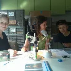 29.05.2012 - mgr Agnieszka Kaczmarczyk i mgr Monika Mioduchowska z Katedry Genetyki prowadzą zajęcia pt. Dzielisz się z nami swoimi owocami -"genetyczna modelka" dla uczniów Liceum Autonomicznego w Sopocie