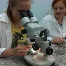 19.06.2012 - dr hab. Monika Badura z Katedry Ekologii Roślin prowadzi zajęcia pt. "Archeobotanika na tropach przeszłości- rośliny w kuchni dawnych gdańszczan" dla uczniów Zespołu Szkół Sportowych i Ogólnokształcących w Gdańsku