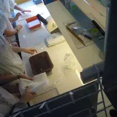 08.11.2012 - dr Grażyna Jerzemowska Katedry Fizjologii Zwierząt i Człowieka prowadzi zajęcia pt. "Preparatyka tkanki nerwowej" dla uczniów Gdańskiego Liceum Autonomicznego fot. Katarzyna Kozłów