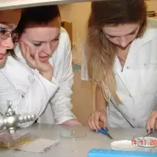 14.11.2012 - dr Magdalena Narajczyk z Laboratorium Mikroskopii Elektronowej prowadzi zajęcia dla uczniów III LO w Gdańsku pt. "Świat wirusów, bakterii i komórek ludzkich w mikroskopie elektronowym" fot. Anna Osieczko