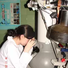 14.11.2012 - dr Magdalena Narajczyk z Laboratorium Mikroskopii Elektronowej prowadzi zajęcia dla uczniów III LO w Gdańsku pt. "Świat wirusów, bakterii i komórek ludzkich w mikroskopie elektronowym" fot. Anna Osieczko