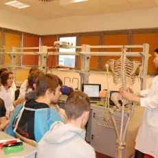 20.11.2012 - dr Dorota Myślińska z Katedry Fizjologii Zwierząt i Człowieka prowadzi zajęcia pt. "Co w głowie piszczy - mózg pod lupą i mikroskopem" dla uczniów IV LO w Gdyni.