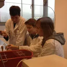 27.11.2012 - mgr Ewa Wons-Karczyńska z Katedry Mikrobiologii prowadzi zajęcia pt. "Barwienie i obserwacja preparatów komórek bakteryjnych" dla uczniów II LO w Sopocie fot. Anna Helmin