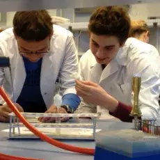 08.01.2013 - dr Iwona Mruk z Katedry Mikrobiologii prowadzi zajęcia pt. "Barwienie i obserwacja preparatów komórek bakteryjnych" dla uczniów II LO w Sopocie fot. Anna Helmin