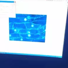 16.04.2013 - dr Joanna Świerczyńska z Katedry Cytologii i Embriologii Roślin prowadzi zajęcia pt. "Komórka roślinna w mikroskopie fluorescencyjnym" dla uczniów Ogólnokształcącego Liceum Jezuitów w Gdyni fot. Maria Markowska