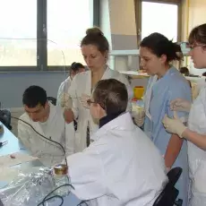 18.04.2013 - mgr Monika Maciąg-Dorszyńska z Katedry Biologii Molekularnej prowadzi zajęcia pt. "Molekularna lupa czyli analiza genetyczna bakterii" dla uczniów III LO w Sopocie fot. Dorota Kasprzak