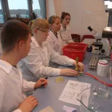 10.12.2013 - dr Beata Furmanek-Blaszk z Katedry Mikrobiologii prowadzi zajęcia pt. "Barwienie i obserwacja preparatów komórek bakteryjnych" dla uczniów I LO w Kartuzach fot. Izabela Bystron