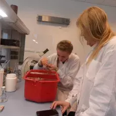 10.12.2013 - dr Beata Furmanek-Blaszk z Katedry Mikrobiologii prowadzi zajęcia pt. "Barwienie i obserwacja preparatów komórek bakteryjnych" dla uczniów I LO w Kartuzach fot. Izabela Bystron