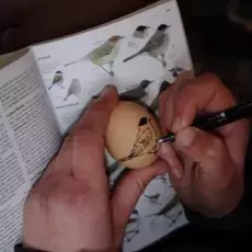 zdjecie
