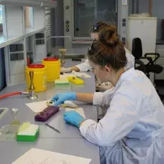 dr Monika Maciąg-Dorszyńska z Katedry Biologii Molekularnej prowadzi zajęcia pt. "Molekularna lupa czyli analiza genetyczna bakterii" dla uczniów III LO w Gdańsku  fot. Susanna Michałek