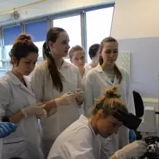 dr Monika Maciąg-Dorszyńska z Katedry Biologii Molekularnej prowadzi zajęcia pt. "Molekularna lupa czyli analiza genetyczna bakterii" dla uczniów III LO w Gdańsku  fot. Susanna Michałek