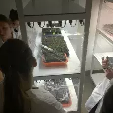 dr Joanna Rojek z Katedry Cytologii i Embriologii Roślin prowadzi zajęcia pt. "Embriologia eksperymentalna - co można badać i tworzyć w kulturach in vitro organów płciowych roślin" dla uczniów Zespołu Szkół Sportowych i Ogólnokształcących w Gdańsku