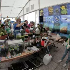 XII Bałtycki Festiwal Nauki (23-25.05.2014)