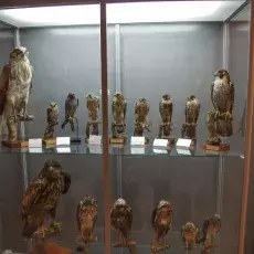 Skarby Muzeum i Instytutu Zoologii PAN w gościnie na Wydziale Biologii UG