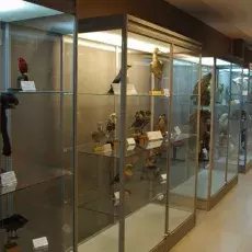 Skarby Muzeum i Instytutu Zoologii PAN w gościnie na Wydziale Biologii UG
