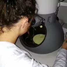 20.10.2014