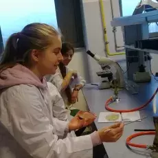 mgr Ewa Wons z Katedry Mikrobiologii prowadzi zajęcia pt. "Barwienie i obserwacja preparatów komórek bakteryjnych"