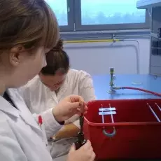 mgr Ewa Wons z Katedry Mikrobiologii prowadzi zajęcia pt. "Barwienie i obserwacja preparatów komórek bakteryjnych"