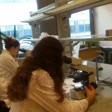 mgr Daria Czaplejewicz Katedry Cytologii i Embriologii Roślin prowadzi zajęcia
