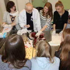 Katedra Ekologii i Zoologii Kręgowców - Tajemnice ptasiego wnętrza - sekcja kormorana
