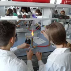 nauczyciele akademiccy Wydziału Biologii UG prowadzą zajęcia dla uczniów I LO w Kartuzach