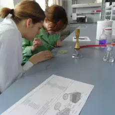 nauczyciele akademiccy Wydziału Biologii UG prowadzą zajęcia dla uczniów I LO w Kartuzach
