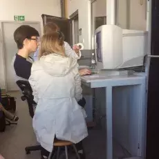 15.05.2015