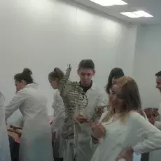 21.05.2015