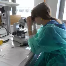 21.05.2015(2)