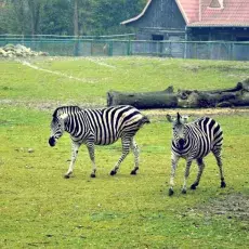 Spotkanie Klubu Absolwentów i Sympatyków Wydziału Biologii