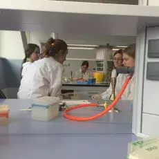 dr Monika Maciąg-Dorszyńska i mgr inż. Katarzyna Licznerska z Katedry Biologii Molekularnej prowadzą zajęcia pt. "Molekularna lu