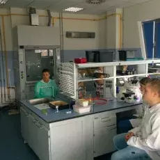 dr Ewa Wons z Katedry Mikrobiologii prowadzi zajęcia pt. "Barwienie i obserwacja preparatów komórek bakteryjnych" dla uczniów XI