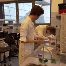 dr Beata Furmanek-Blaszk i dr Ewa Wons z Katedry Mikrobiologii prowadzą zajęcia pt. "Barwienie i obserwacja preparatów komórek b