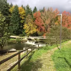Vila Real - park Corgo