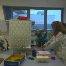 dr Beata Furmanek-Blaszk z Katedry Mikrobiologii prowadzi zajęcia pt. "Barwienie i obserwacja preparatów komórek bakteryjnych" d