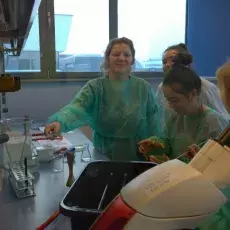dr Beata Furmanek-Blaszk z Katedry Mikrobiologii prowadzi zajęcia pt. "Barwienie i obserwacja preparatów komórek bakteryjnych" d