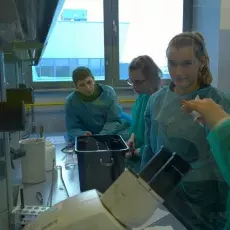 dr Beata Furmanek-Blaszk z Katedry Mikrobiologii prowadzi zajęcia pt. "Barwienie i obserwacja preparatów komórek bakteryjnych" d