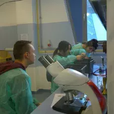 dr Beata Furmanek-Blaszk z Katedry Mikrobiologii prowadzi zajęcia pt. "Barwienie i obserwacja preparatów komórek bakteryjnych" d