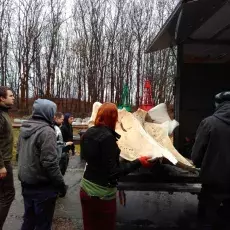 Finwal stawił się na Wydziale Biologii