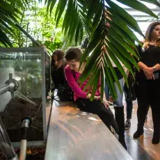 Dzień Otwarty Wydziału Biologii - przy Formikarium