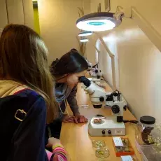 Dzień Otwarty Wydziału Biologii - w Katedrze Taksonomii Roślin i Ochrony Przyrody