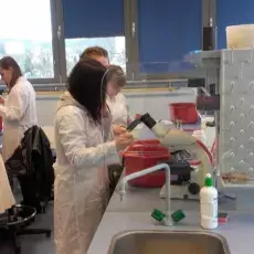"Barwienie i obserwacja preparatów komórek bakteryjnych", prowadząca: dr Beata Furmanek-Blaszk (Katedra Mikrobiologii)