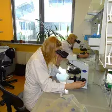 dr Małgorzata Kapusta z Katedry Cytologii i Embriologii Roślin prowadzi zajęcia pt. "Komórka roślinna w mikroskopie fluorescency